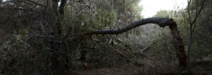 000 img 5269@2x
