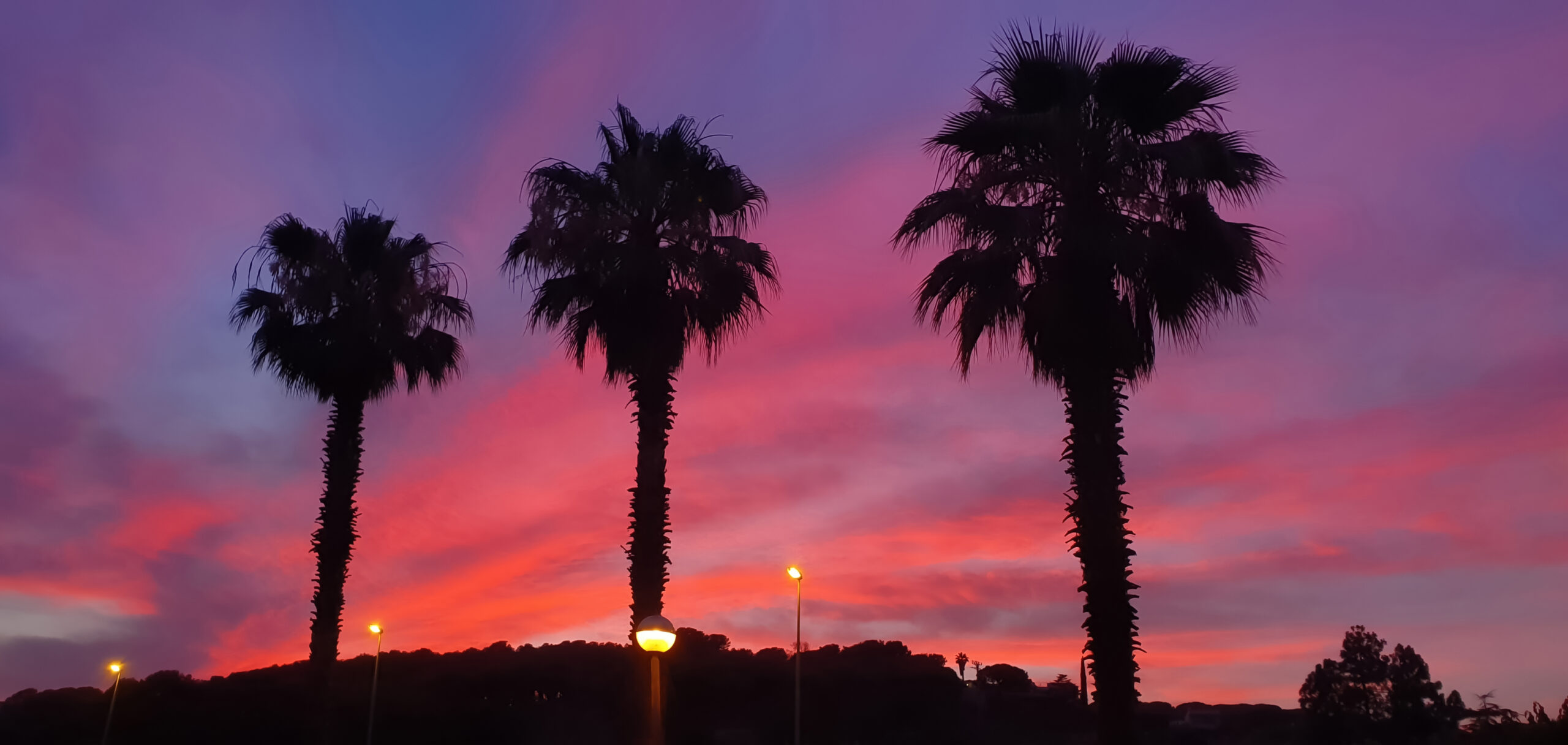 20190712 213848@2x copia@1,5x