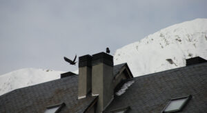 img 3292@2x