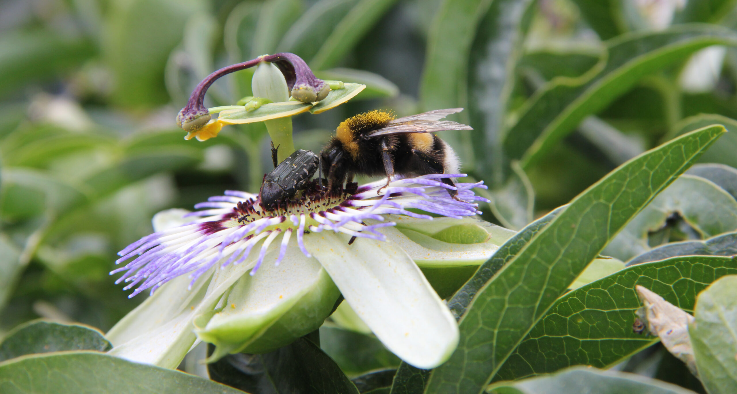 img 4710 (2) export@2x