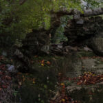 img 8489