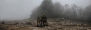  mg 829